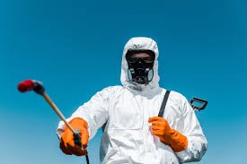 Best Outdoor Pest Control  in Woodstown, NJ